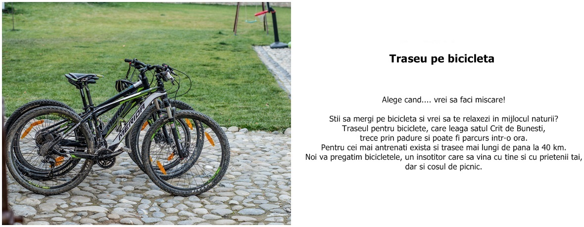 biciclete1
